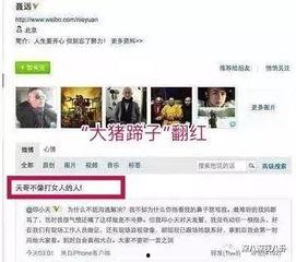 电视台黑网吃瓜爆料往期回顾视频,回顾往期精彩瞬间