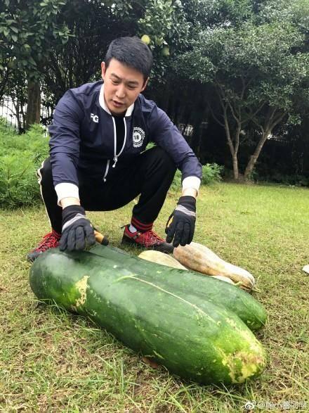 全家拿凳子吃瓜假千金爆料视频,视频爆料揭露惊人真相