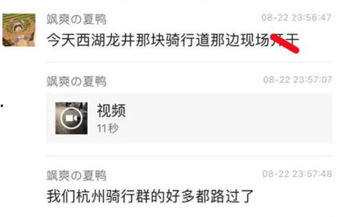 吃瓜网站爆料视频大全免费观看,免费观看，一网打尽！