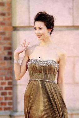云南歌曲明星网红,明星、网红共筑音乐梦想