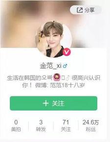 韩国明星网红账号,揭秘明星私生活与粉丝互动的社交新天地