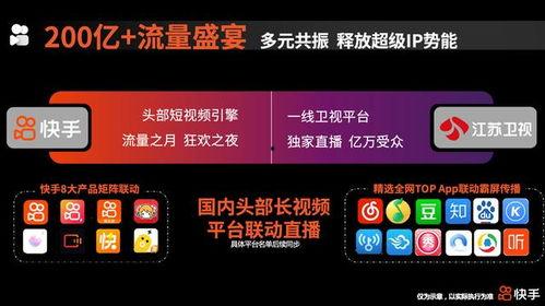 明星网红快手号,揭秘明星网红的快手号魅力